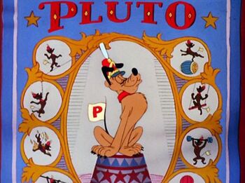 Pluto acrobate