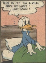 Donald Duck par Walt Kelly