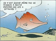 Le très rare faido d'eau.