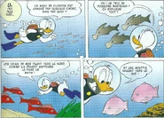 Différentes espèces de poissons.