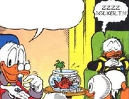 Ici, on peut voir le poisson qui peut enfin manger.