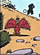 L'oiseau recouvert de piquants de cactus.