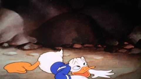 Donald Duck - La Mine d'Or de Donald (1942)