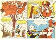 Donald avec son chien Bolivar, dessinés par Branca.