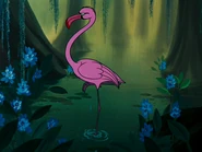 Flamant rose.png (252 kio) Un flamant rose dans un marais de Floride.