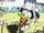 Capitaine McDuck