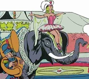 Ani195910.jpg (24 kio)