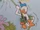 Donaldzan