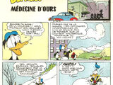 Médecine d'ours