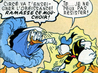 Daisy circé