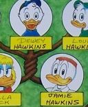 Jamie Hawkins