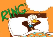 La chambre de Donald.