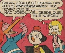 Papagaï.jpg (18 kio) Papagaï