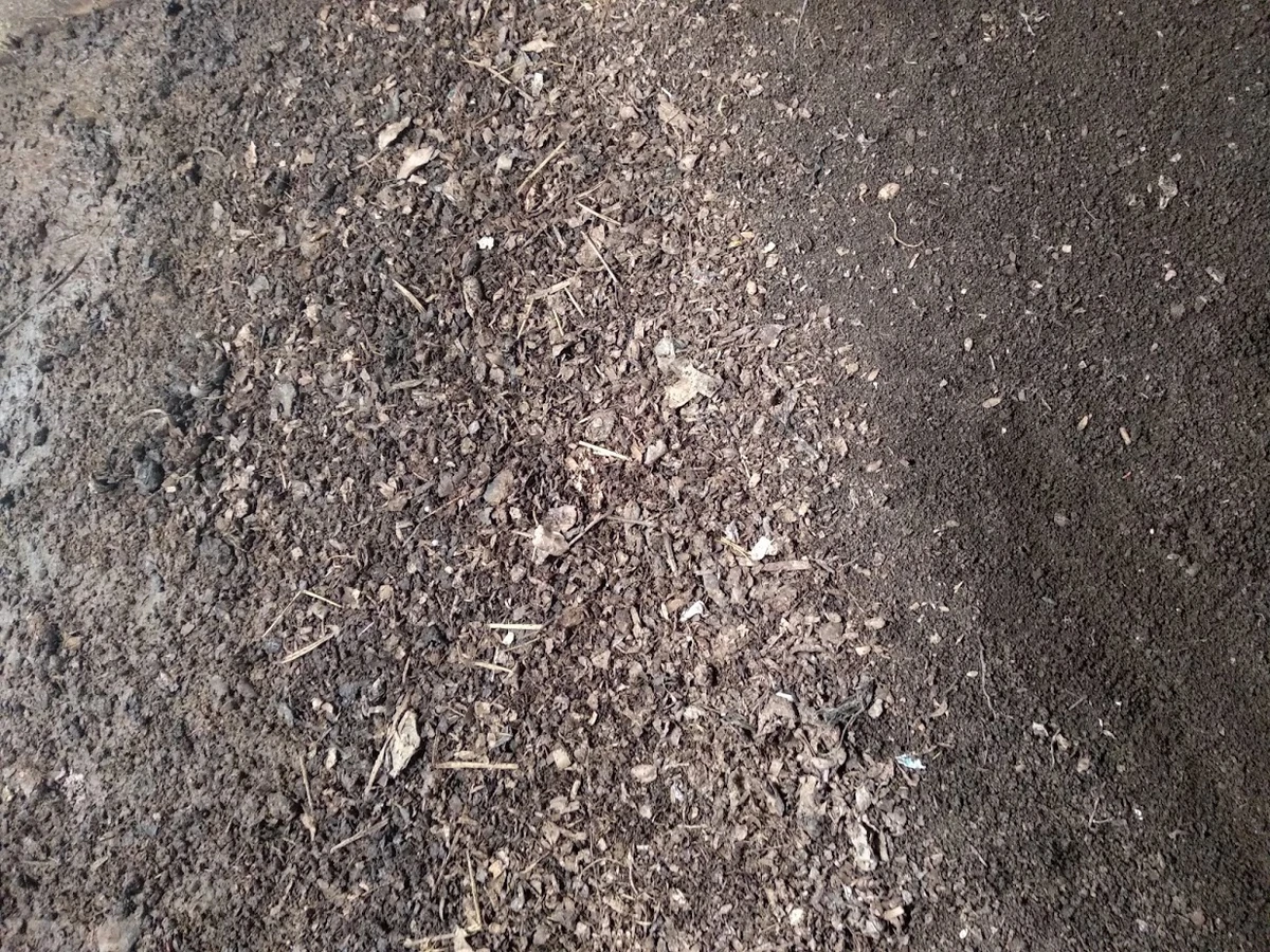 Vermiculture Piece of Earth Wiki Fandom