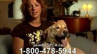British Columbia Society for the Prevention of Cruelty to Animals | Public  Information Film Wiki | Fandom