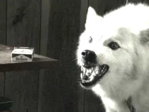 QuitPlan - Wolf | Public Information Film Wiki | Fandom