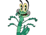 Cricket