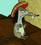 Rasta Rat 1