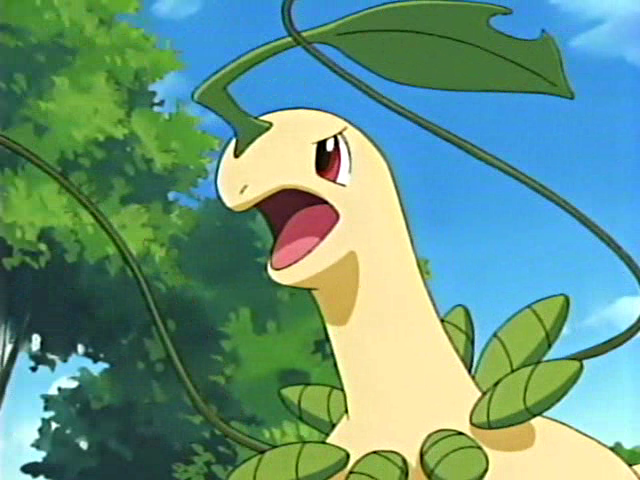 Bayleef de Lyra, Pokémon FF Wiki