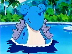 Misty's Lapras | Pika-Fanon Wiki | Fandom