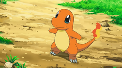 Silus Charmander