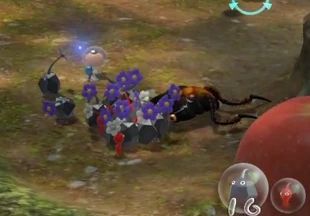 Pikmin derrotando a un Insecto noducristal (nuevo enemigo)