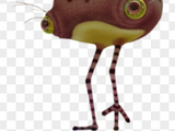Sapo patilargo
