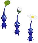 Evolución de los Pikmin Azules.