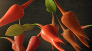 Night Juicer carrots
