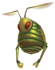 さらいむし サライムシ | ピクミンWiki | Fandom