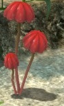 Red Mushrooms as they appear in Pikmin 3.