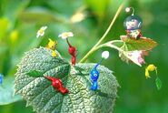 Promotional artwork for Pikmin.