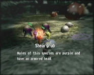 Sheargrub Males of this species are purple and have an armored head.