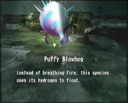 Puffy Blowhog Instead of breathing fire, this species uses its hydrogen to float.