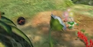 A Bomb Rock as seen in Pikmin 3.