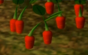 Pikpik Carrots