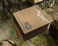 Pikmin screenshot of Red Pikmin pushing a cardboard box at The Impact Site