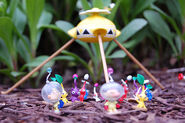 070616pikmin2