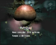 Puffstool Many consider this walking fungus a delicacy.