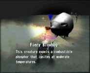 Fiery Blowhog This creature expels a combustible phosphor that ignites at moderate temperatures.
