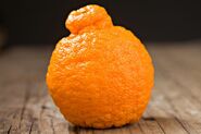 A dekopon in real life