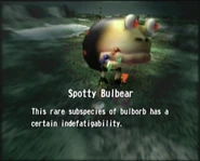 Spotty Bulbear This rare subspecies of bulborb has a certain indefatigability.