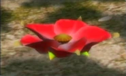 A Crimson Candypop Bud.