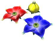 Pikmin artwork of the three Candypop Bud types