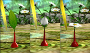 Pikmin Stages