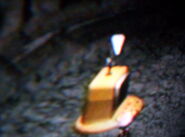 The location of the Analog Computer in Pikmin