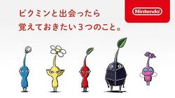 ピクミン3 デラックス ピクミンwiki Fandom