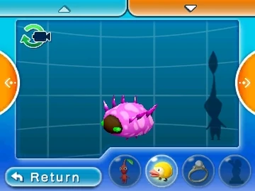 ビカクシダ Smarf x Moonlight x Nangnual spore pup Consumer Care Toys & Games, Collectibles & Playsets - Consumer Care