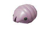 Female Sheargrub
