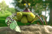 The Peckish Aristocrab in the Pikmin 3 US TV commercial.